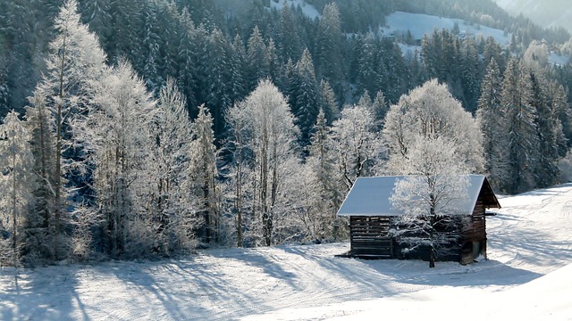 Scegli di acquistare online la tua casetta in legno